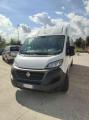 usato FIAT Ducato