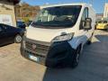 usato FIAT Ducato