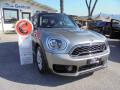 usato MINI Countryman