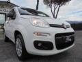 usato FIAT Panda