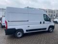 usato FIAT Ducato