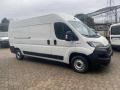 usato FIAT Ducato