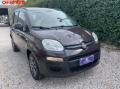 usato FIAT Panda