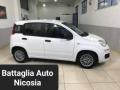 usato FIAT Panda