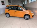 usato FIAT Panda