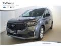 usato FORD Tourneo Connect