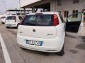 usato FIAT Punto