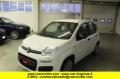 usato FIAT Panda