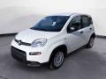 Km 0 FIAT Panda