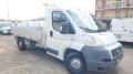 usato FIAT Ducato