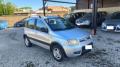 usato FIAT Panda