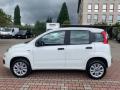 usato FIAT New Panda