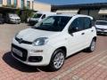 usato FIAT New Panda