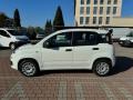 usato FIAT New Panda