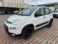 usato FIAT New Panda