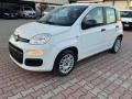 usato FIAT New Panda