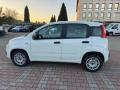 usato FIAT New Panda