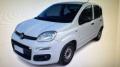 usato FIAT New Panda