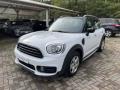 usato MINI Countryman