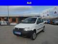 usato FIAT Panda