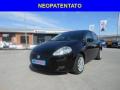 usato FIAT Punto