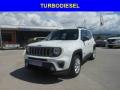 usato JEEP Renegade