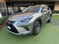 usato LEXUS NX 300