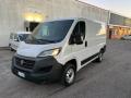 usato FIAT Ducato