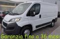 usato FIAT Ducato