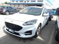 usato FORD Kuga