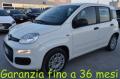 usato FIAT Panda