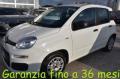 usato FIAT Panda