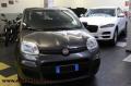 usato FIAT Panda