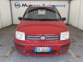 usato FIAT Panda