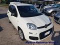 usato FIAT Panda