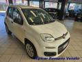 usato FIAT Panda