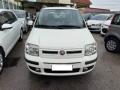 usato FIAT Panda