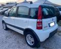 usato FIAT Panda