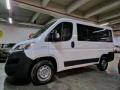 usato FIAT Ducato