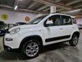 usato FIAT Panda