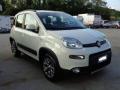 usato FIAT Panda