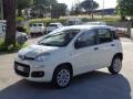 usato FIAT Panda