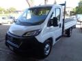 usato FIAT Ducato