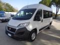 usato FIAT Ducato