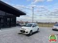 usato FIAT Panda