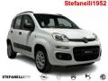 usato FIAT Panda