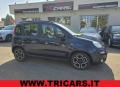 usato FIAT Panda