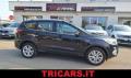 usato FORD Kuga