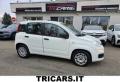 usato FIAT Panda