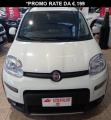 usato FIAT Panda